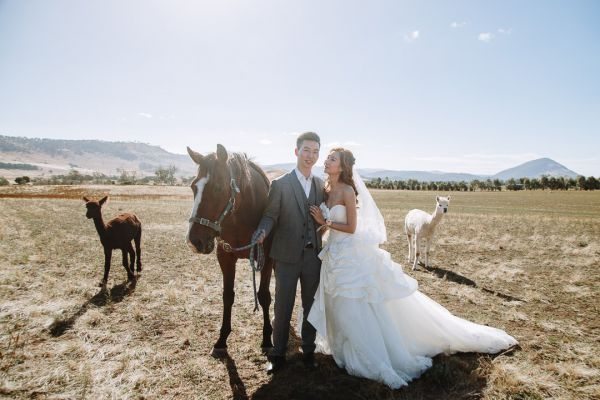 Angel and Andrew's pre-wedding session in Tasmania, frame 041