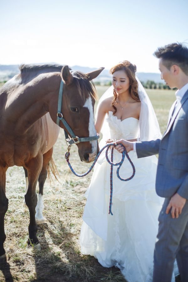 Angel and Andrew's pre-wedding session in Tasmania, frame 042