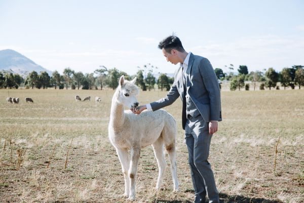Angel and Andrew's pre-wedding session in Tasmania, frame 043