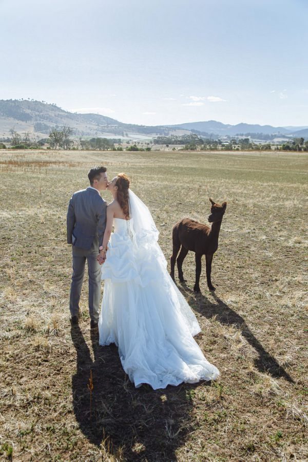 Angel and Andrew's pre-wedding session in Tasmania, frame 044