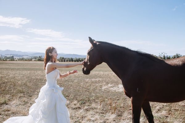 Angel and Andrew's pre-wedding session in Tasmania, frame 048