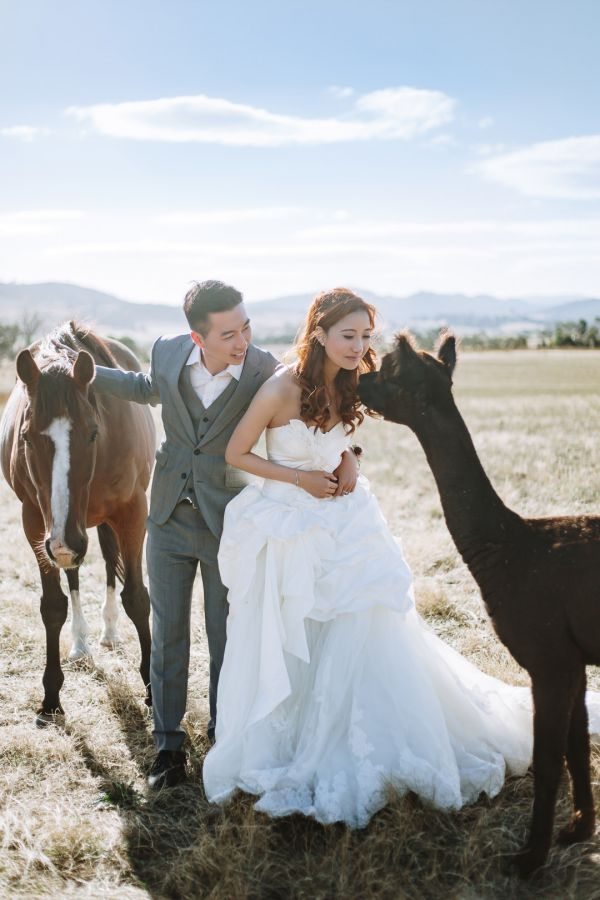 Angel and Andrew's pre-wedding session in Tasmania, frame 049