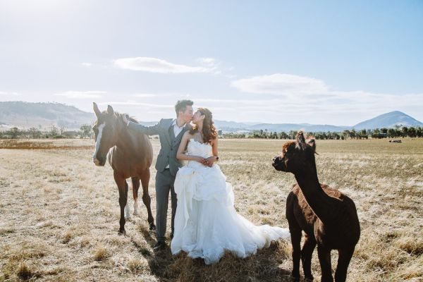 Angel and Andrew's pre-wedding session in Tasmania, frame 050