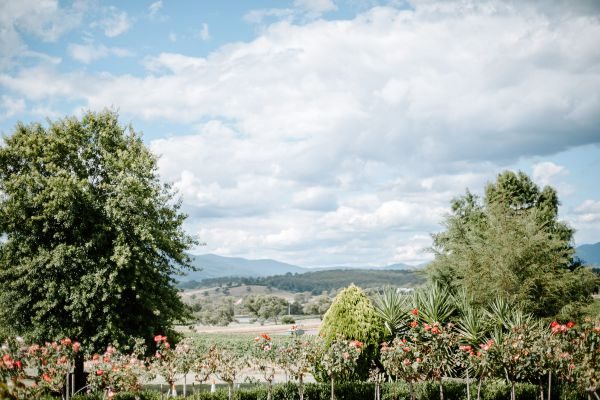 Danni and Jarrod's wedding day in Coldstream, frame 019