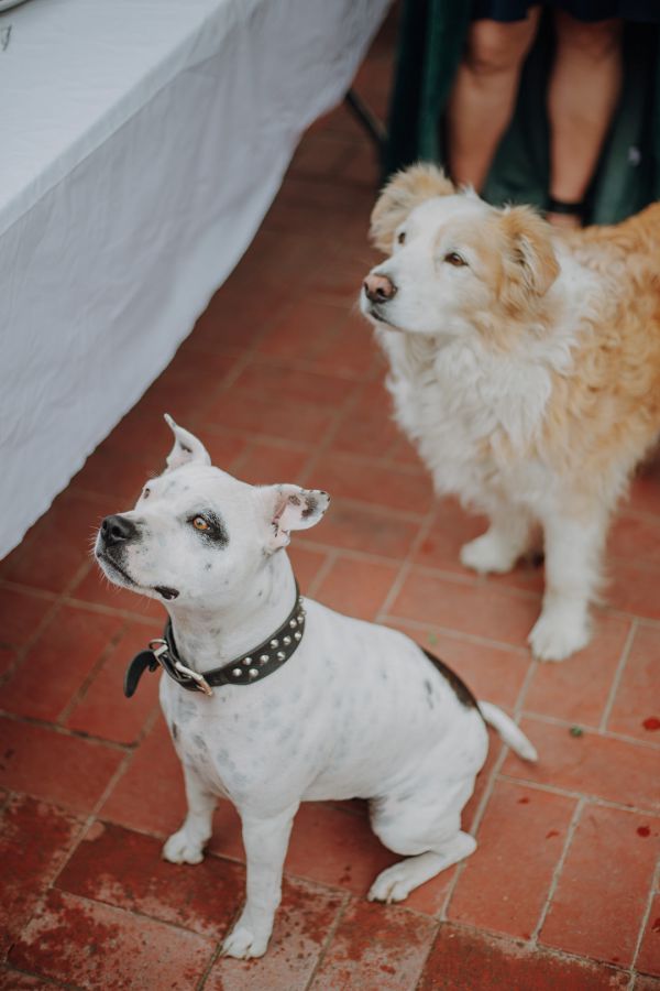 Misty and Dave's wedding day in Maryknoll, frame 057