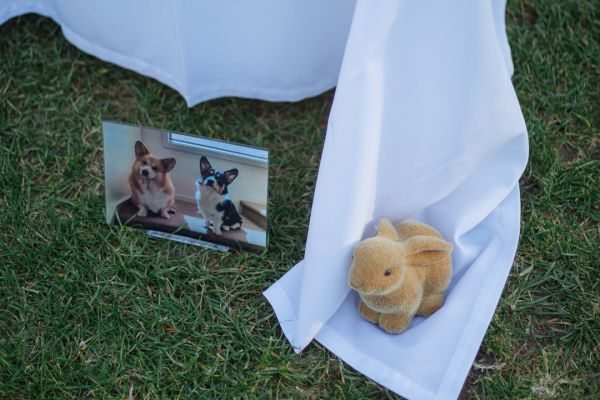 Liz and Robert's wedding day in Werribee South, frame 181