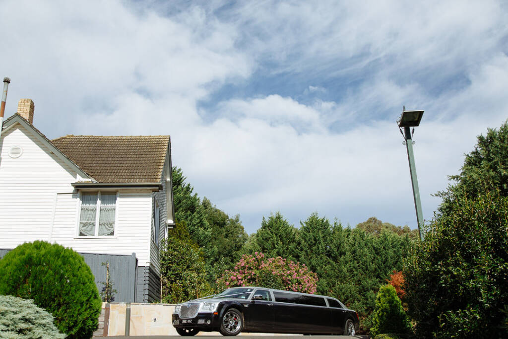 The stretch limousine idles beneath a big sky and pink crepe myrtle