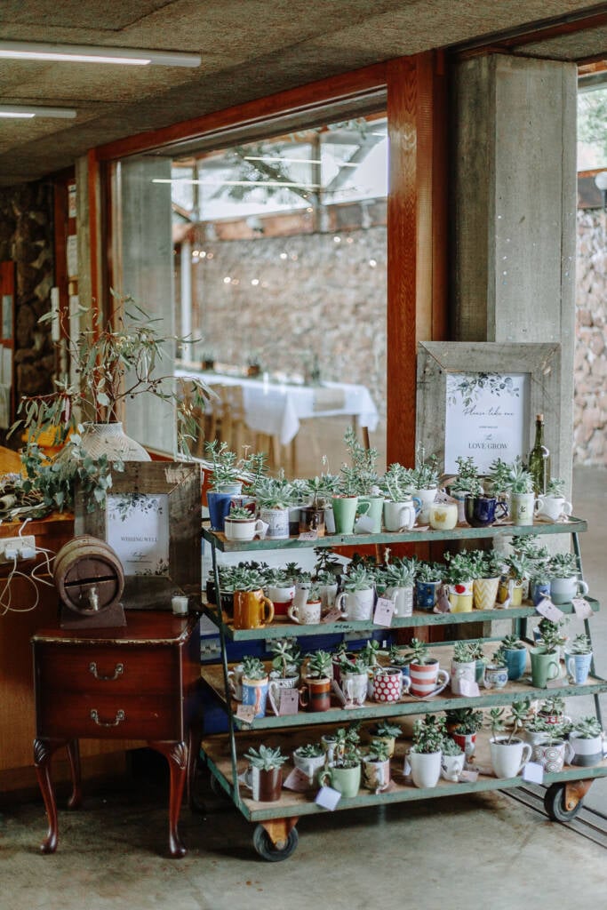 Succulent favours in vintage mugs fill a trolley beside the wishing well at Sunnystones.