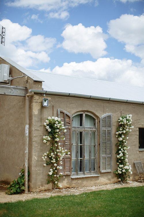 White climbing roses frame an arched window with timber shutters on the rendered wall under a cloudy sky.