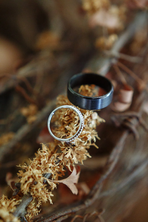 A black brushed band and a diamond eternity band rest on a twig covered in lichen.