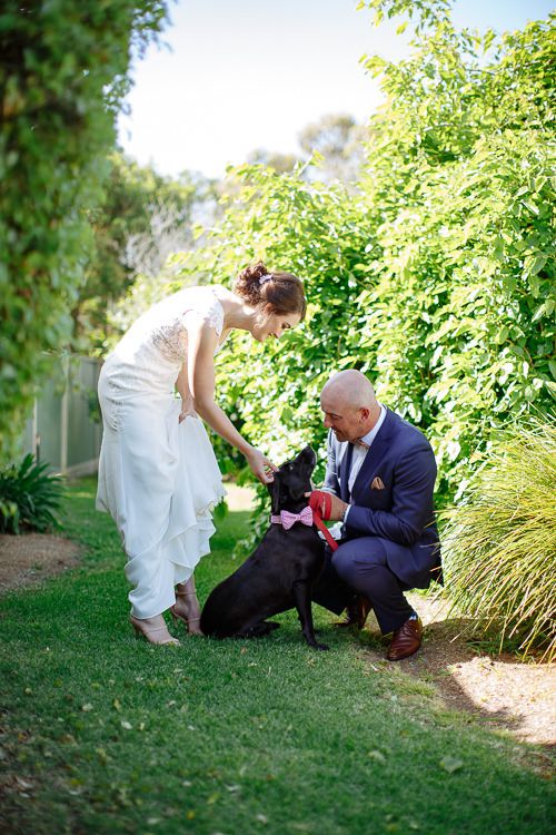 Bride and groom greeting their dog on its pink lead in the garden