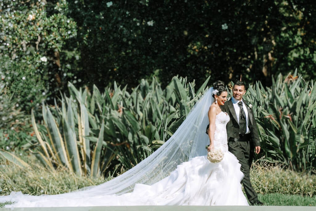 Danielle and Michael stand beside broad-leaved plants with her veil trailing across Carlton Gardens