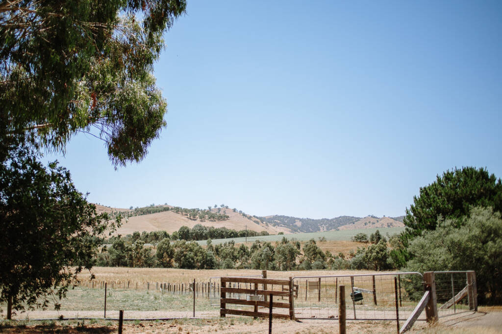 A farm gate opens towards fenced paddocks and hills at Flowerdale Estate, Strath Creek.