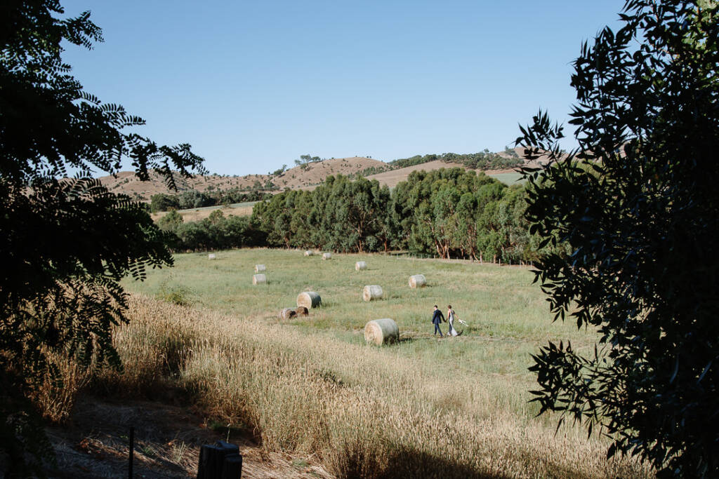 Camilla and Jason walk among round hay bales in a Flowerdale Estate field.