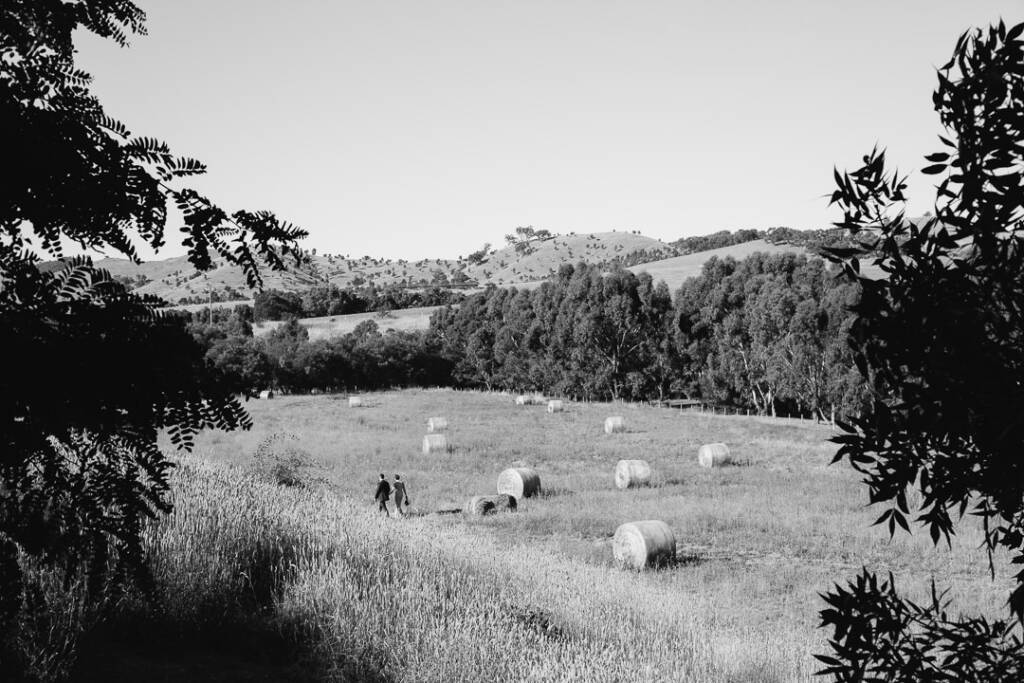 Distant black-and-white portrait of the couple crossing a field of hay bales at Flowerdale.