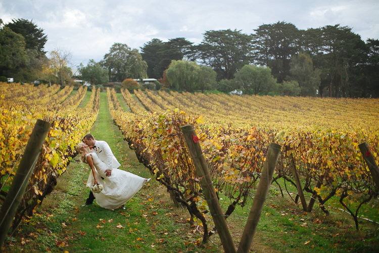 Alex dips Aggie for a kiss between yellowing vineyard rows at Lancemore Lindenderry Red Hill.