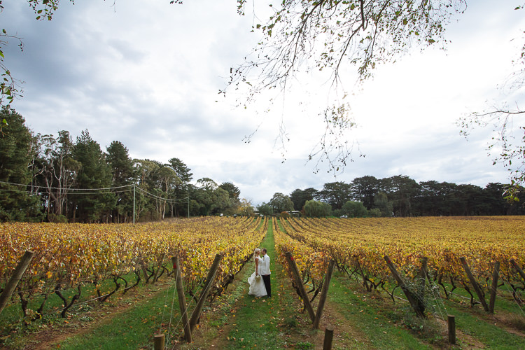 Wide vineyard wedding photo of Aggie and Alex at Lindenderry Red Hill on the Mornington Peninsula.