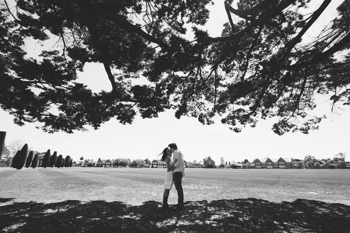 Under sweeping pine boughs the couple kiss in the middle of the open playing field.