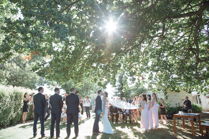 Sunlight breaks through the ceremony tree above the couple at Paynes Rise Wines.