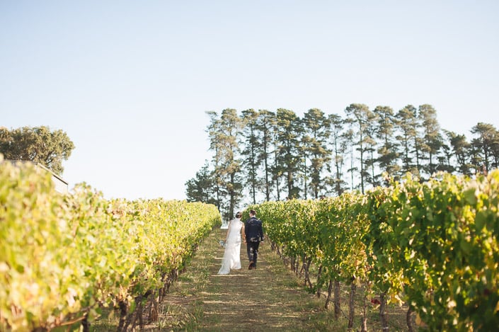 Two small figures head up the grassy lane between the vines