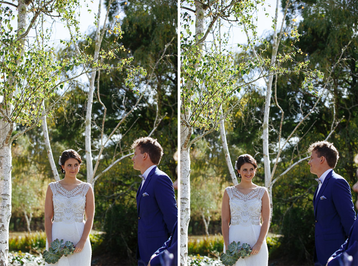 Two frames of a look held between the bride and groom across the birch trunk.