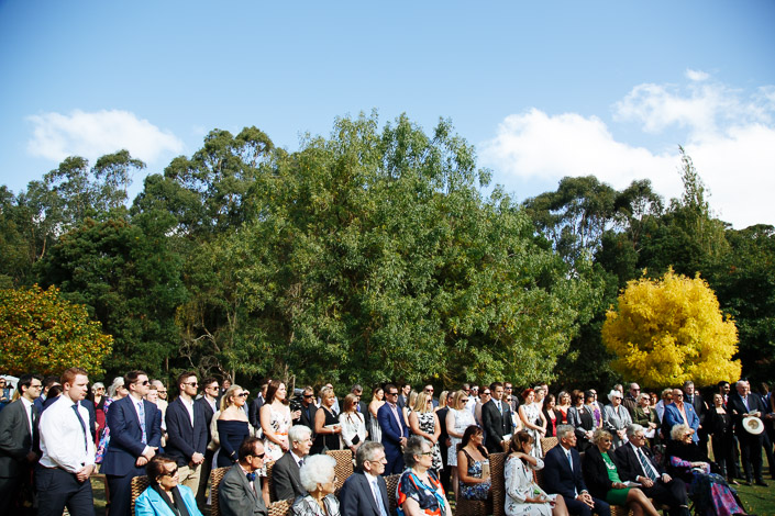 A golden-leaved tree rises above the outdoor wedding guests at Pennyroyal Retreat