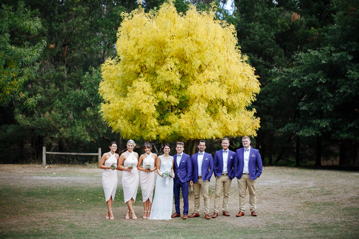 The wedding party lines up beneath a golden-leaved tree at Pennyroyal Otways Retreat