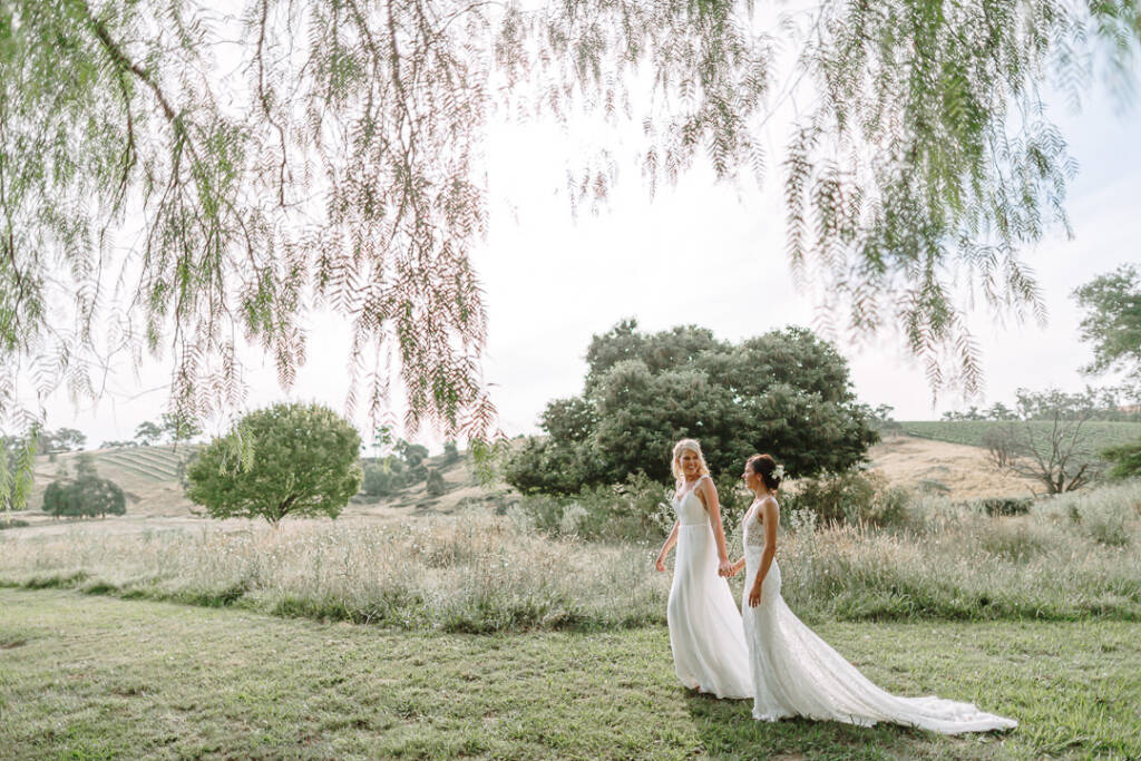 The couple hold hands beneath drooping branches during their vineyard wedding portraits at Riverstone.