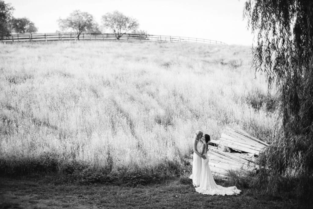 An elevated black-and-white portrait shows the couple beneath a tree beside old timber at Riverstone Estate.
