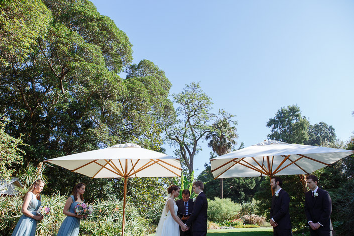 The ceremony sits small beneath the towering trees and clear sky of Royal Botanic Gardens Melbourne.