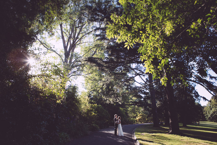 Tiny on a curving path, the couple stands beneath mature trees in the Royal Botanic Gardens.