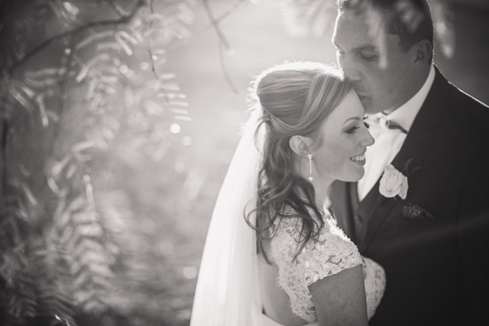 A kiss to the bride's hairline under backlit feathery leaves, in black and white.