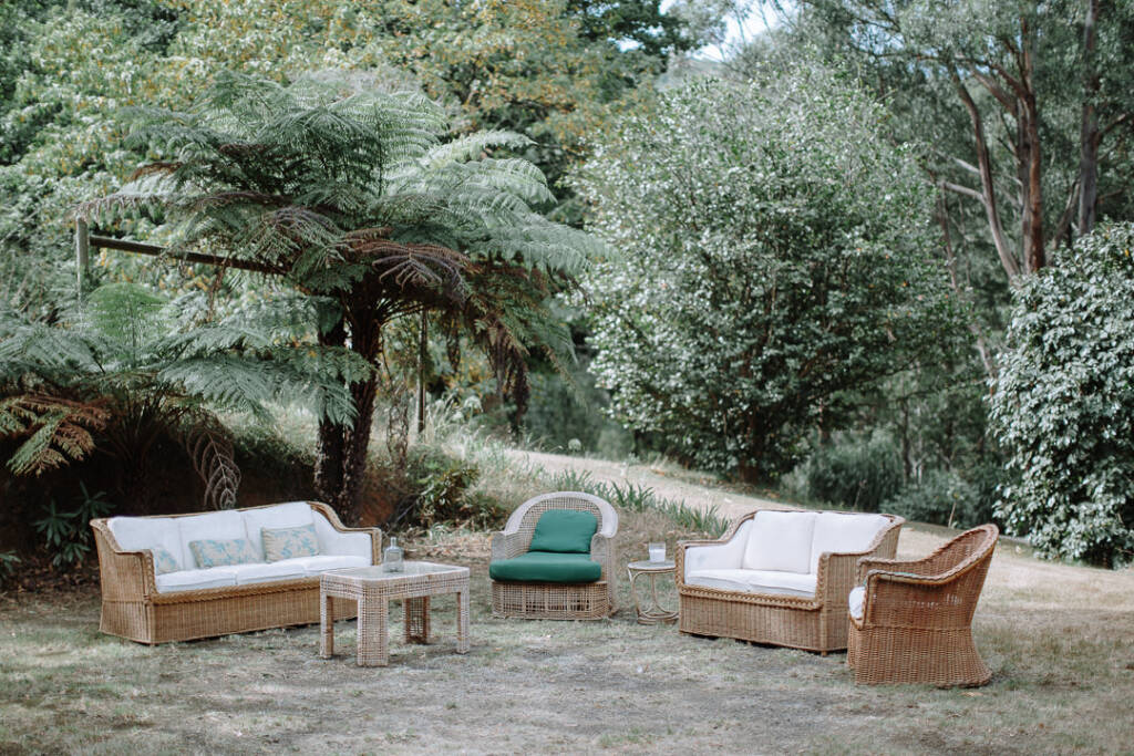 Wicker lounge seating sits beside tree ferns in the garden at Strathvea Guesthouse.