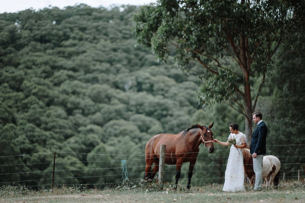 Sarah pats a horse beside Jye at the paddock fence at Strathvea Guesthouse.
