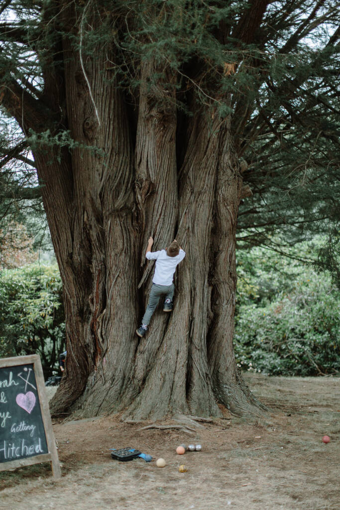 A child climbs between the large tree trunks in the garden at Strathvea.