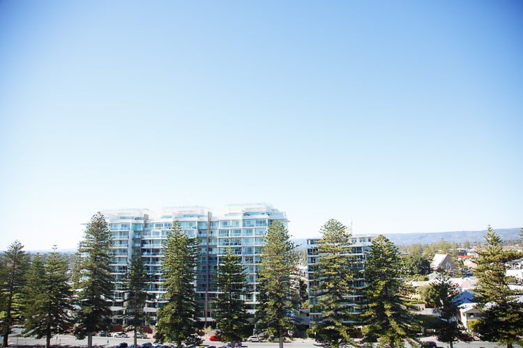 Modern apartment buildings rise behind tall trees beneath a clear blue sky.