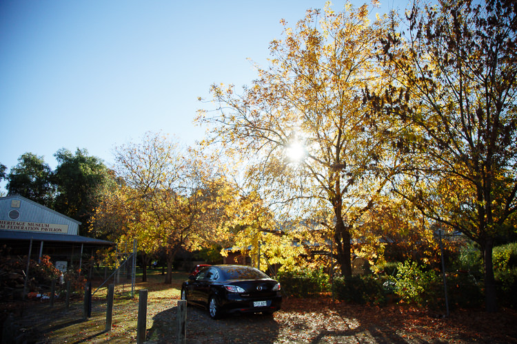 Sunlight shines through yellow leaves above a parked car beside a heritage building at Sunnybrae Estate.