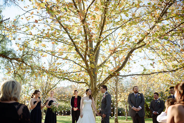 Shannon and Luke stand with their wedding party beneath a spreading tree at Sunnybrae Estate.