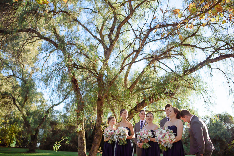 The wedding party gather beneath spreading trees on the lawn at Sunnybrae.