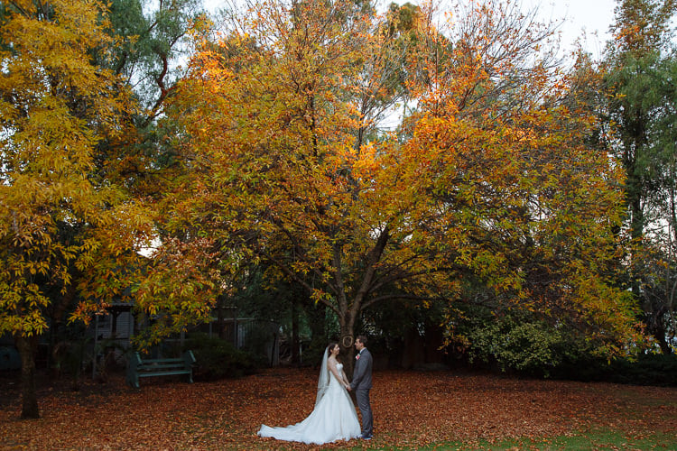 Shannon and Luke stand beneath a large yellow-orange tree at Sunnybrae Estate, fallen leaves covering the ground.