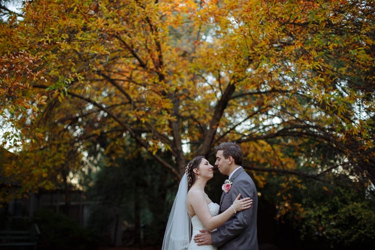 Shannon and Luke embrace beneath yellow-orange leaves at Sunnybrae.