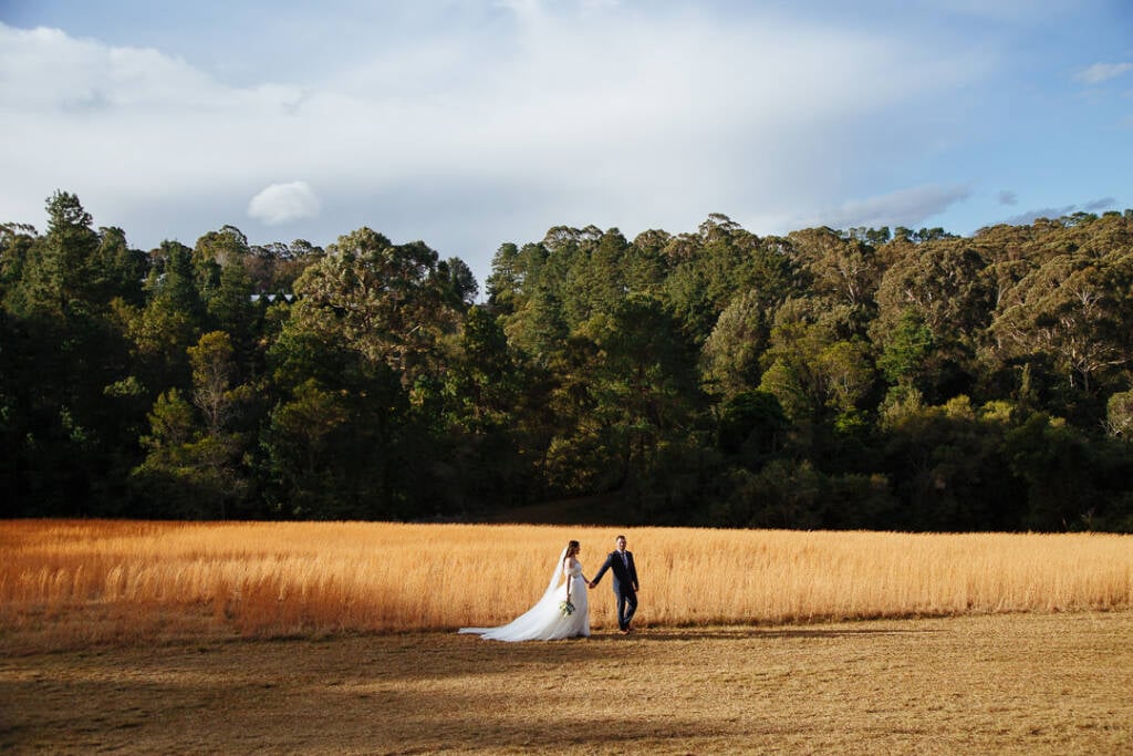 Kirstie and Hussein at Bellview Estate, Bilpin — Sydney wedding videography by Veri