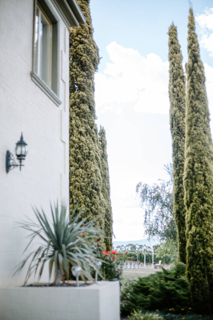 White chairs wait on Tokar Estate Winery's ceremony lawn between pencil pines.