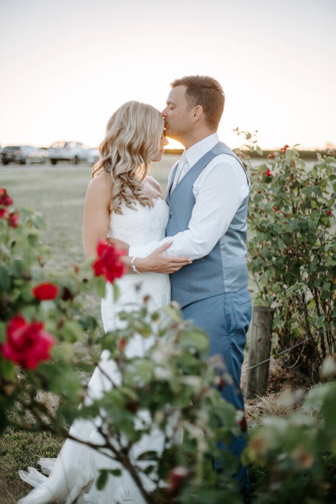 Jarrod kisses Danni's forehead among Tokar Estate's rose bushes at sunset.