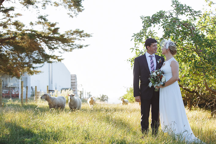 A quiet look between Lindsey and Dennis as the flock grazes by the shed.