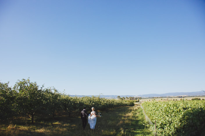 Two figures head up the orchard row toward the ranges