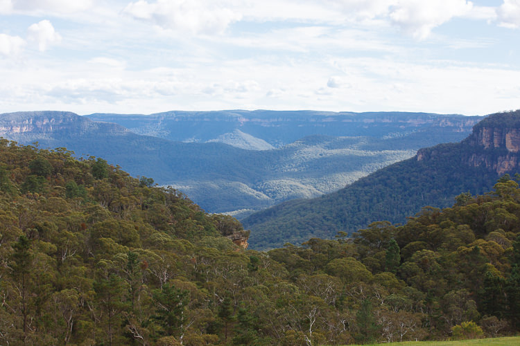Forested slopes and sandstone cliffs stretch across Jamison Valley in the Blue Mountains
