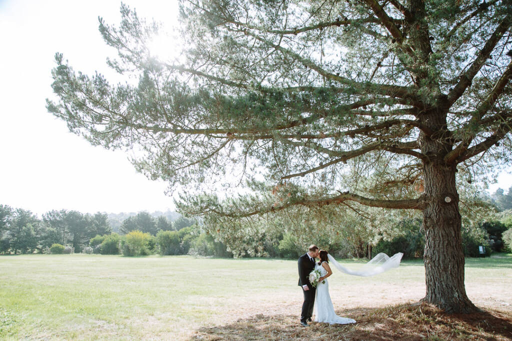Small beneath the big pine, Ashleigh and Mitch kiss as the veil lifts at Baxter Barn