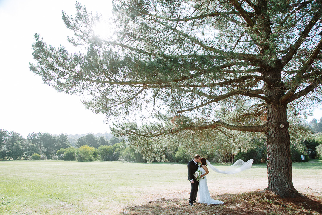 Small beneath the big pine, Ashleigh and Mitch kiss as the veil lifts at Baxter Barn