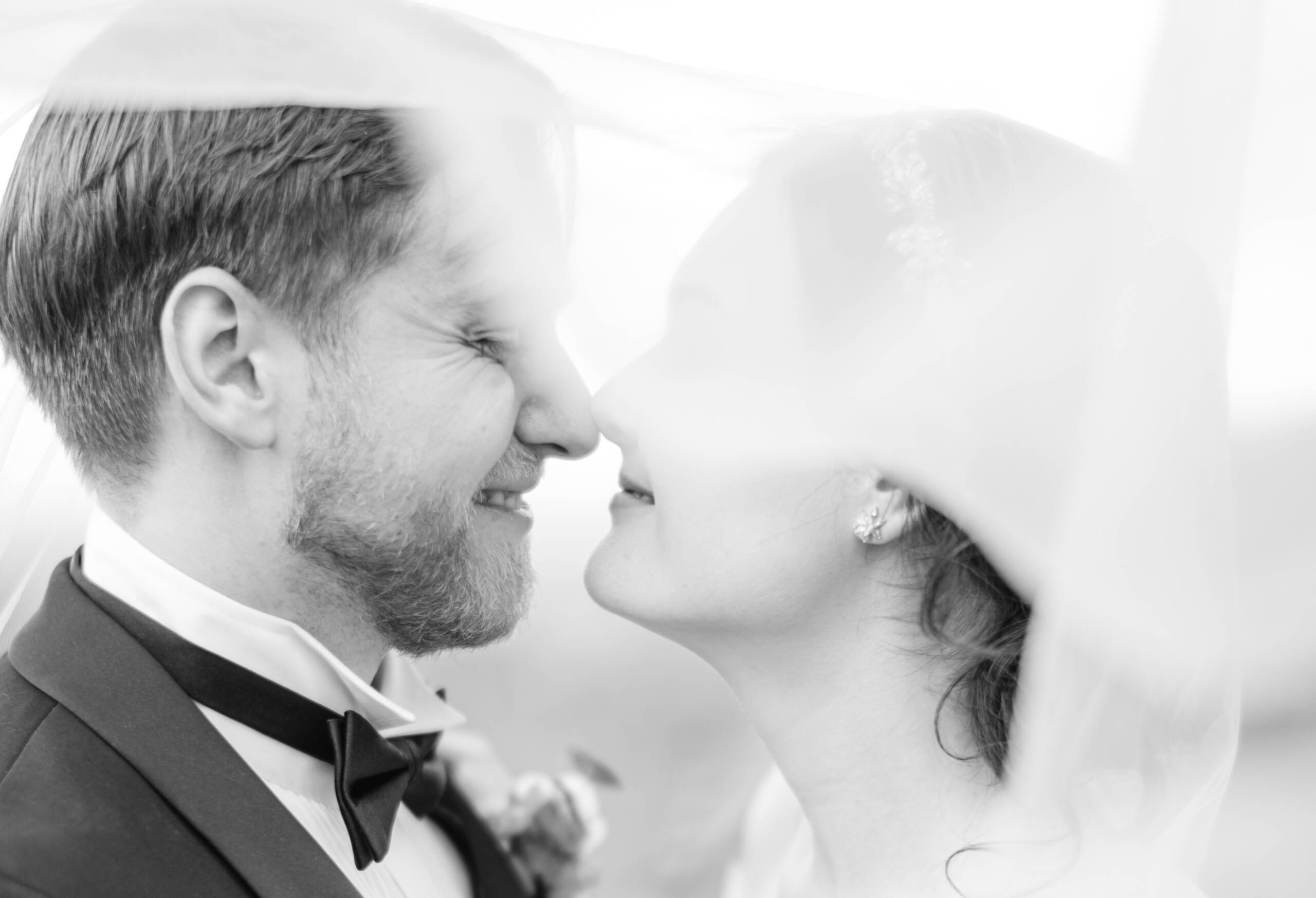 Maleny Manor wedding photos Queensland by Veri Photography — couple at golden hour in the hinterland
